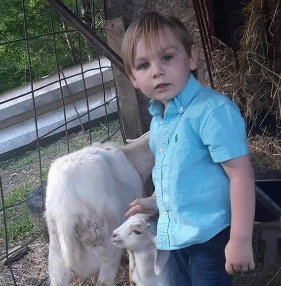 Profile Picture of Steven Walton (@weswal20) on Poshmark