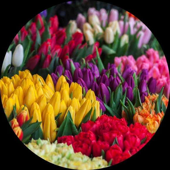 Profile Picture of Carrie Farrington (@carlyn44) on Poshmark