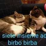 Profile Picture of Mauro Rocco (@_mauro.rocco76_) on Instagram