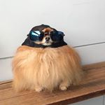 Profile Picture of Alex Everhart (@alex_everhart_17_but_worse) on Instagram