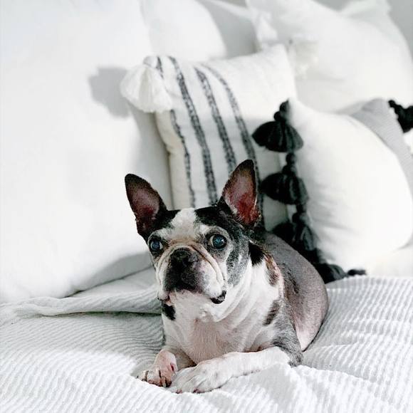 Profile Picture of Hannah Bialowas (@hannah_bialowas) on Poshmark