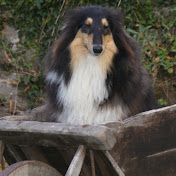 Profile Picture of Antonio Giorgio (@antoniogiorgio10) on Youtube