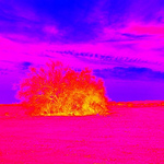 Profile Picture of Clint Porter (@lildevil_9_9) on Flickr