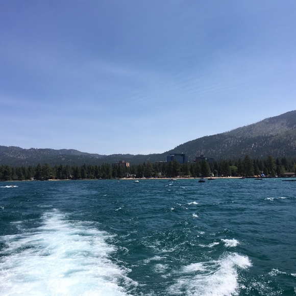 Lisa Baldassano - Poshmark Profile Picture of Lisa Baldassano (@gato11234) on Poshmark