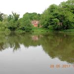 Profile Picture of Geoffrey Farrow (@farrowgeoffrey) on Instagram