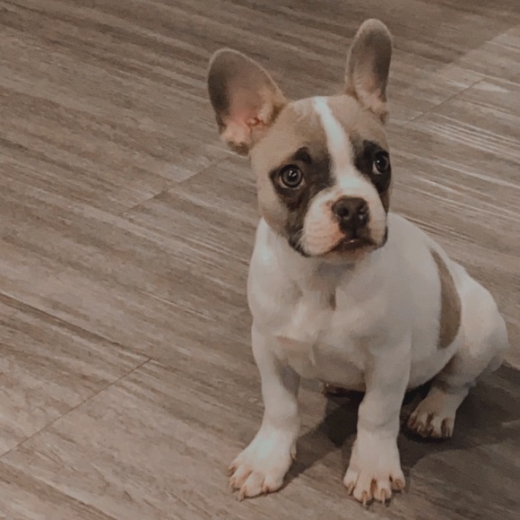 Profile Picture of Alex Callaghan (@northernmom562) on Poshmark