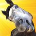 Profile Picture of Allan Stackhouse (@allan.stackhouse.3) on Facebook