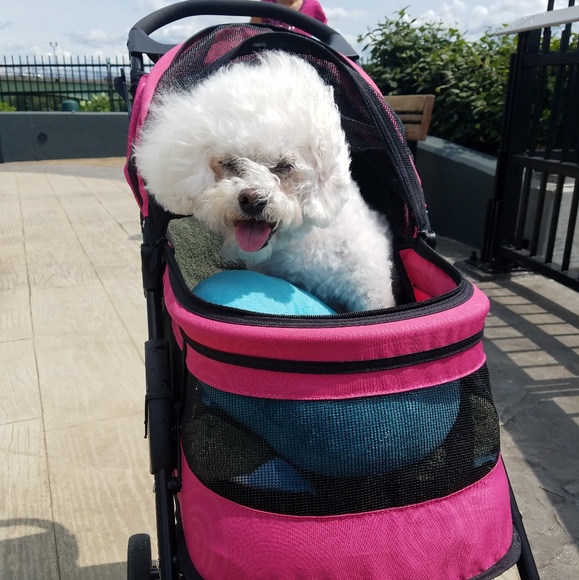 Profile Picture of Danielle Zanella (@dmz25) on Poshmark