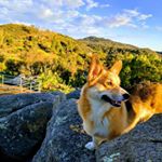 Profile Picture of Jason Graff (@sdjase) on Instagram