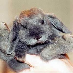 Profile Picture of Sandra Tassin (@327292160) on Myspace