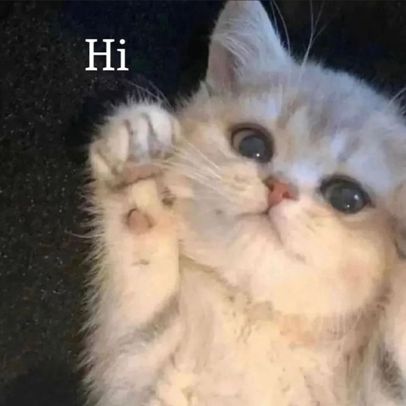 Profile Picture of Hailey Fischer (@hailebug3339) on Poshmark