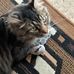 Profile Picture of Gloria Schumacher (@gloria.schumacher.77) on Facebook