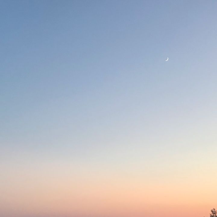 Profile Picture of Jeremy Fisher (@jeremy_fisher_) on Tiktok