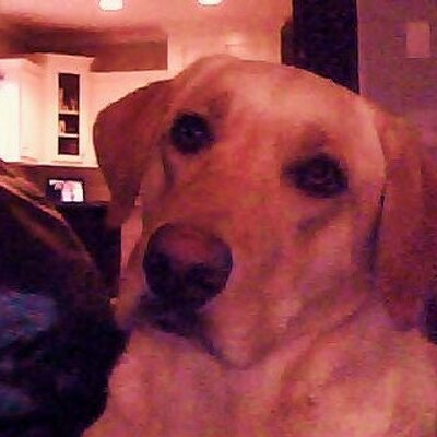 Profile Picture of Ken Bonney (@KBonney) on Twitter