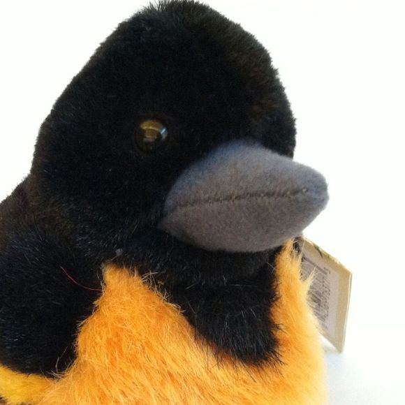 Ruby Mccormick - Poshmark Profile Picture of Ruby Mccormick (@rubestr3) on Poshmark