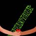 Profile Picture of Osman Chaudhary (@osman.chaudhary.79) on Facebook