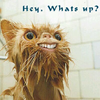 Profile Picture of Sean (@SeanMuller199) on Twitter