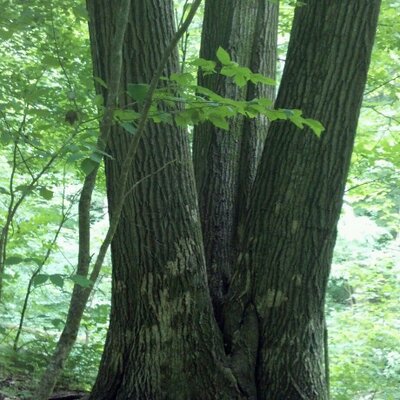 Eric Vail - Twitter Profile Picture of Eric Vail (@Ericmvail) on Twitter