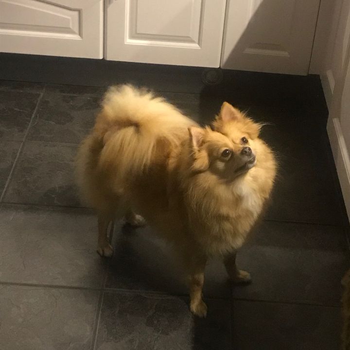 Profile Picture of Lara Gannon (@@laragannon) on Tiktok