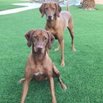 Profile Picture of Dan (@daniel.r.kirkman) on Instagram