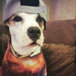 Profile Picture of Julia Ingalls (@judahwanderingfoot) on Instagram