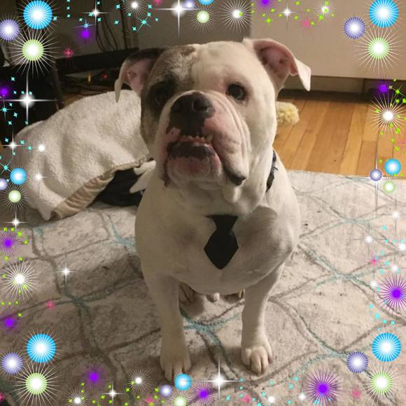 Profile Picture of Victor Dasilva (@victor_dasilva) on Poshmark