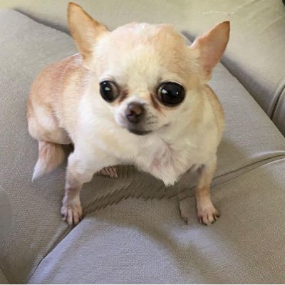 Profile Picture of Alejandro Vera (@plexii) on Twitter