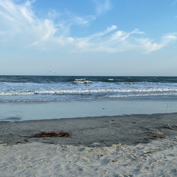 Profile Picture of Rita Gallamore (@ritagallamore) on Poshmark