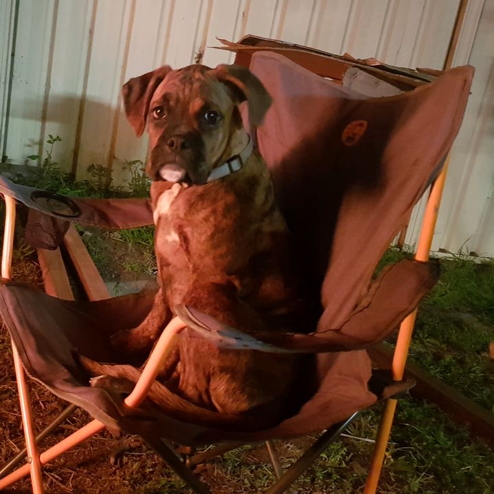 Profile Picture of bridget.grant.maree (@michaelgrant41) on Tiktok