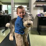 Profile Picture of William Hansen (@billyhansenvet) on Instagram