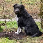 Profile Picture of Alexandra Budinsky (@alexandra.budinsky) on Facebook