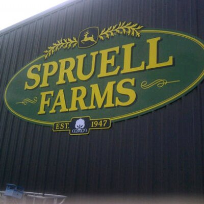 Profile Picture of Sam Spruell (@@c0nc3al) on Twitter