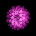 Profile Picture of Jason Notonegoro (@jason.notonegoro) on Instagram