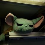 Profile Picture of caitlin (@caitlinwanders) on Instagram