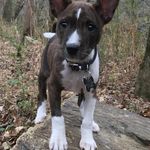 Profile Picture of Tony Stamper (@stamper.tony) on Instagram