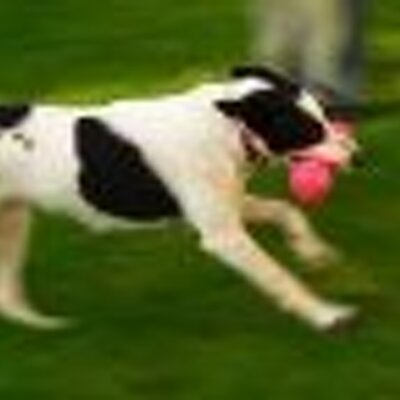 Profile Picture of Catherine Bradley (@CatherineJB) on Twitter