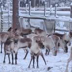 Profile Picture of Claudia FischerKarrer (@claudia.fischerkarrer) on Facebook