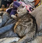 Profile Picture of Paula Bagley (@paula.bagley.35) on Facebook