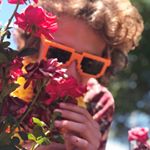 Profile Picture of Joey Palombo (@joey.palombo) on Instagram