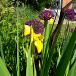 valeriedannau - Instagram Profile Picture of valeriedannau (@valeriedannau) on Instagram