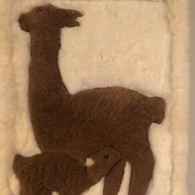 Profile Picture of BiblicalTheist (@BloomEdwin) on Twitter