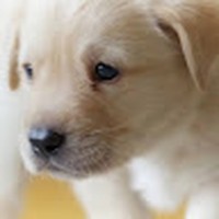 Profile Picture of Essence Perry (@essence-perry-7) on Quora