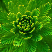 ECEL CHABZ - Youtube Profile Picture of ECEL CHABZ (@ecelchabz8006) on Youtube