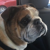 Profile Picture of Katelynn Thompson (@katelynn-thompson-10) on Quora