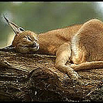 Profile Picture of Juan Carlos Sebastian (@juancarlosebastian) on Flickr