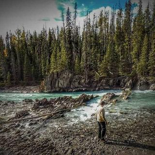 Profile Picture of steve (@stevenbevis) on Instagram