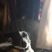 Profile Picture of Thomas Brylski (@thomas.brylski.5) on Facebook