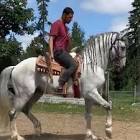 Profile Picture of   Joseluisgonzalez... (@jcgonzalez99) on Tiktok