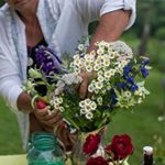 Profile Picture of Erin Schneider (@hilltopfarm_flower_fruitlove) on Instagram