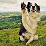 Profile Picture of patuchka paul lebron (@urmomgaayyy) on Instagram